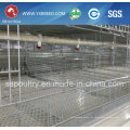 Layer Cage para Uganda Farm Euipment